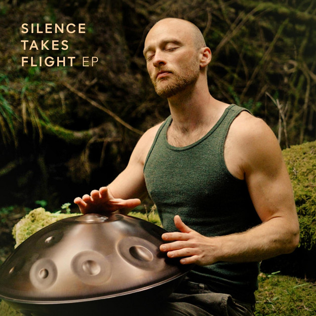 Silence Takes Flight album image