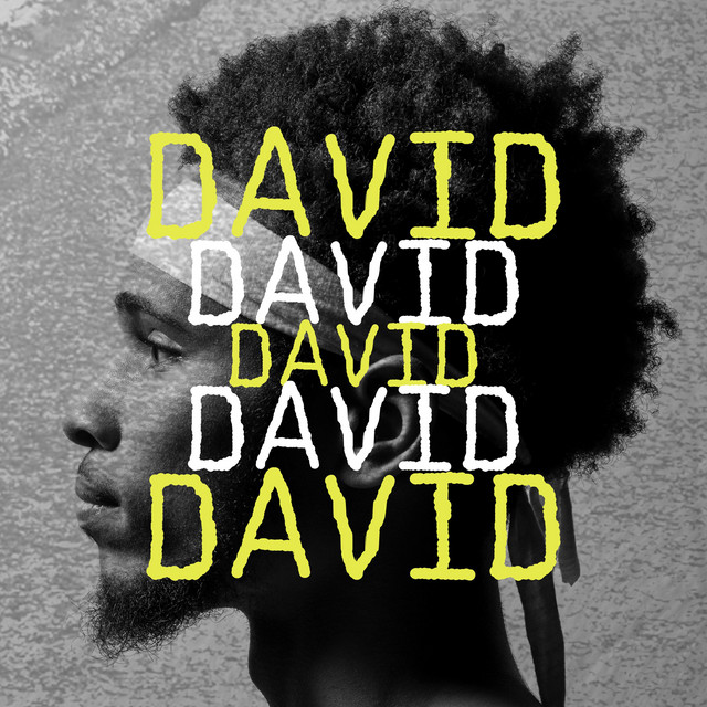 David cover art