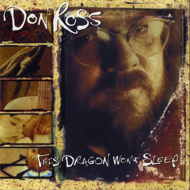 This Dragon Won't Sleep cover art