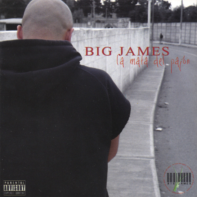 La Mata Del Pajon cover art