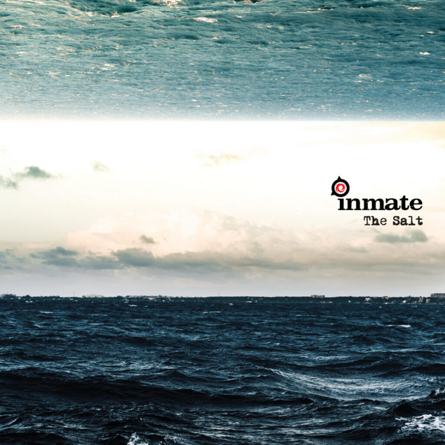 The Salt cover art