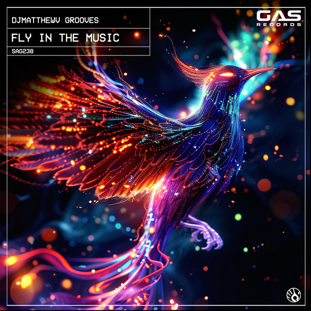 Fly In The Music - Single by DjMatthewV Grooves | Spotify
