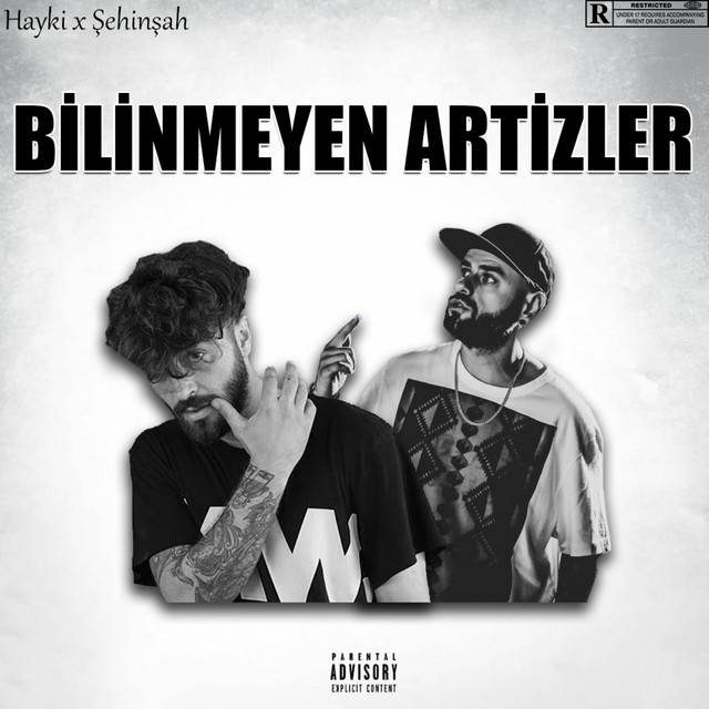 Bilinmeyen Artizzler cover art