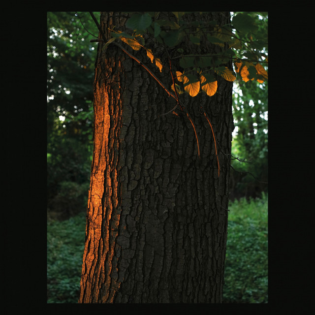 Throughout cover art