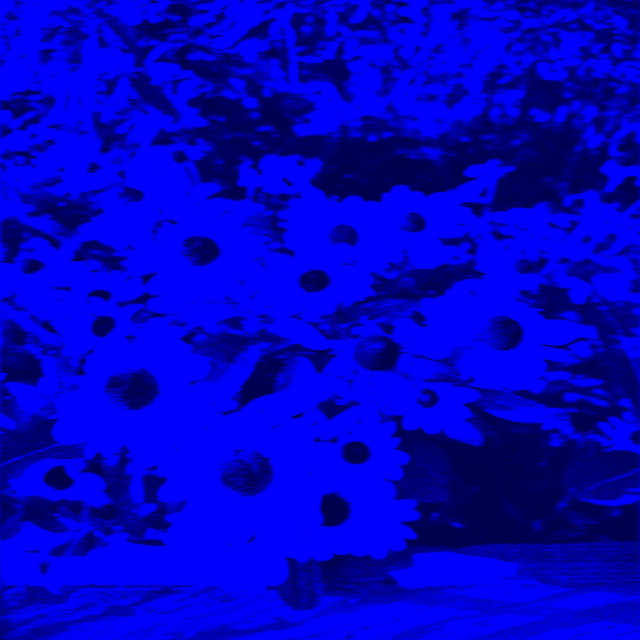 Ambient dream cover art