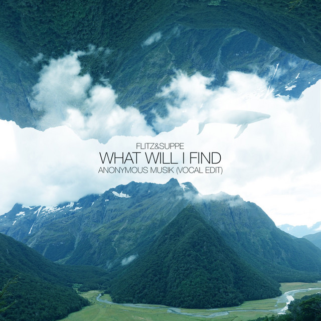 What Will I Find (Vocal Edit) cover
