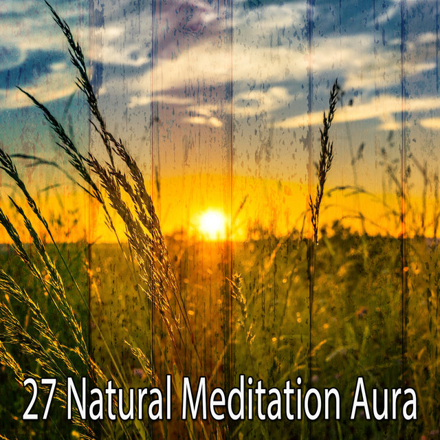 27 Natural Meditation Aura cover art