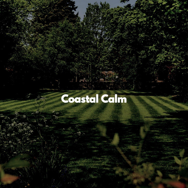 Coastal Calm cover art