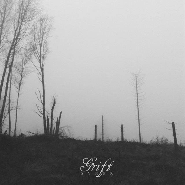 Syner cover art