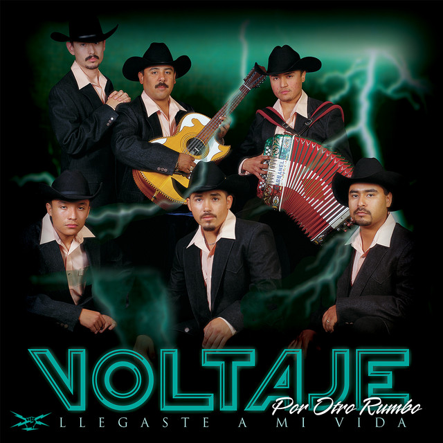 Llegaste a Mi Vida cover art