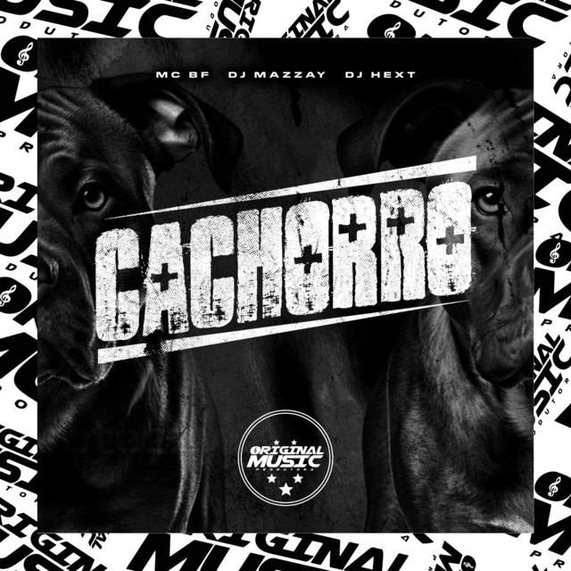 CACHORRO
