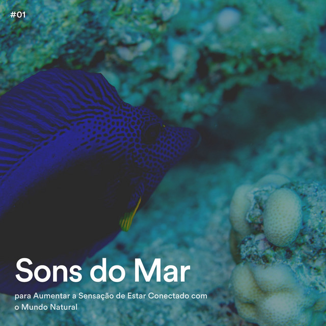 #01 Sons do Mar para Aumentar a Sensação de Estar Conectado com o Mundo ...
