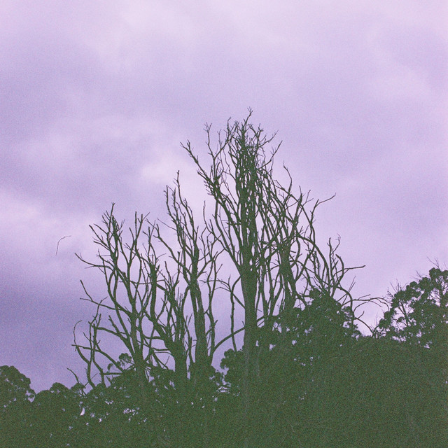 The Essential Relaxing New Age Melodies cover art