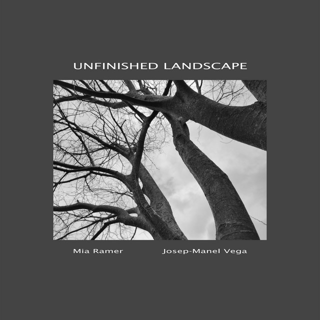 Unfinished Landscape cover art