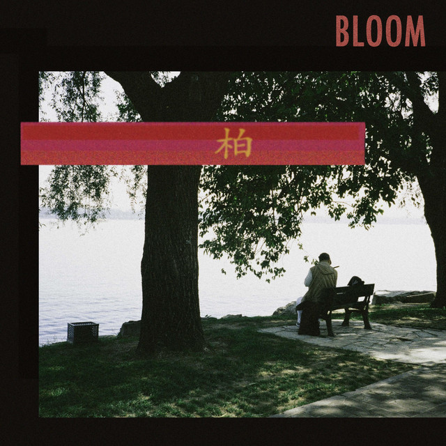 Bloom cover art