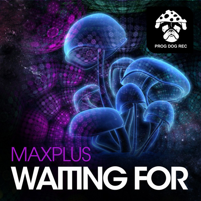 Waiting For cover art