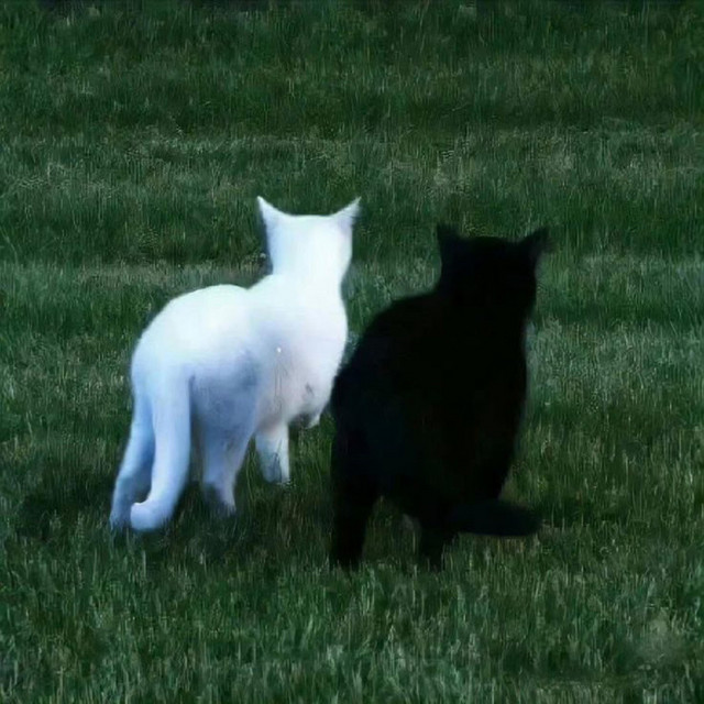 one day it'll bite your nose