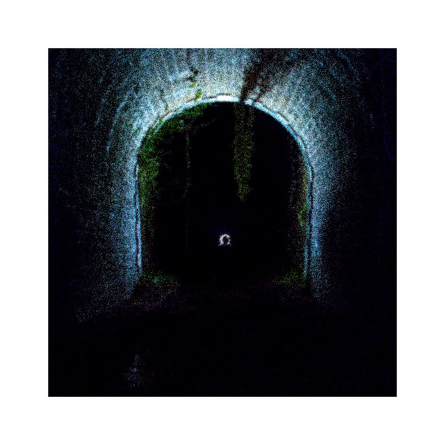 Winribe cover