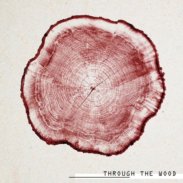 Through The Wood cover art