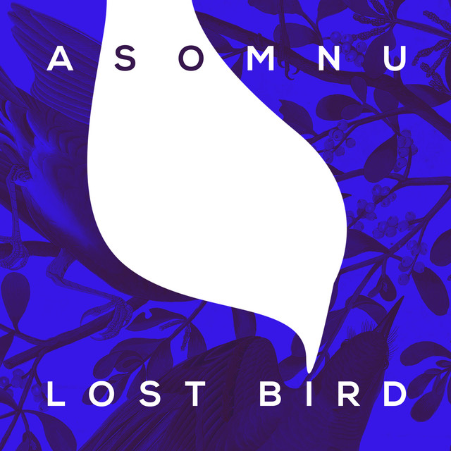 Lost Bird cover art