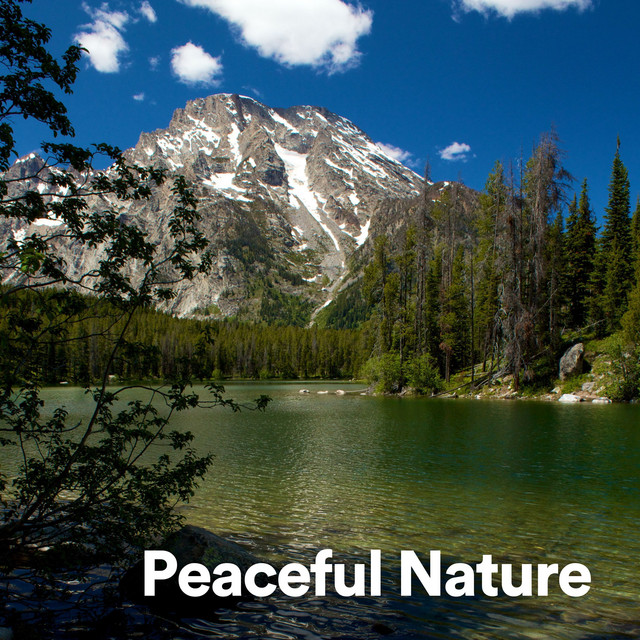Peaceful Nature cover art