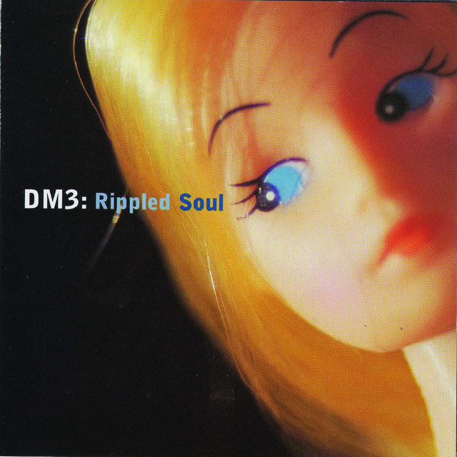 Rippled Soul cover art