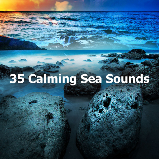 Seaside Sounds - song and lyrics by Calm Sea Sounds | Spotify