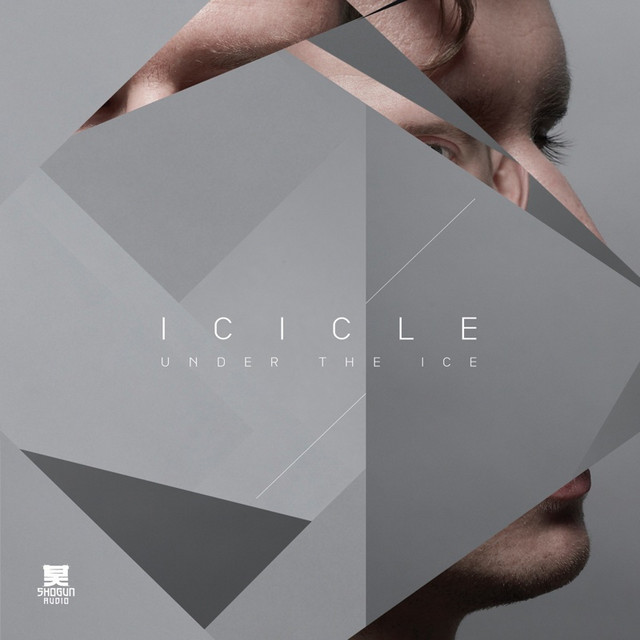 Under The Ice cover art