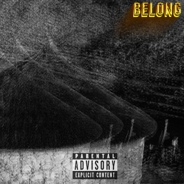 Belong cover art