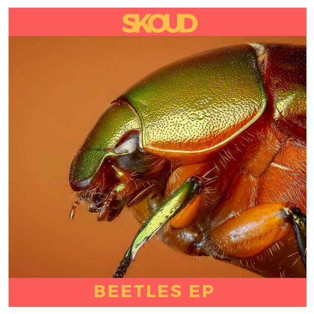 Beetles EP cover
