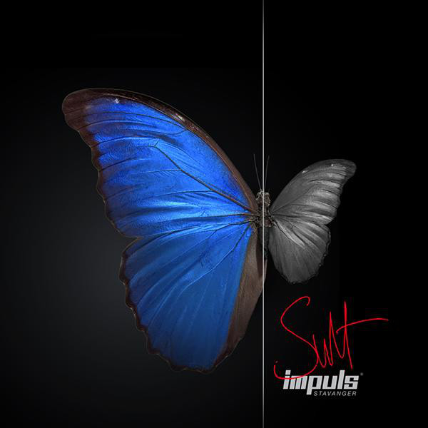 Sult cover art