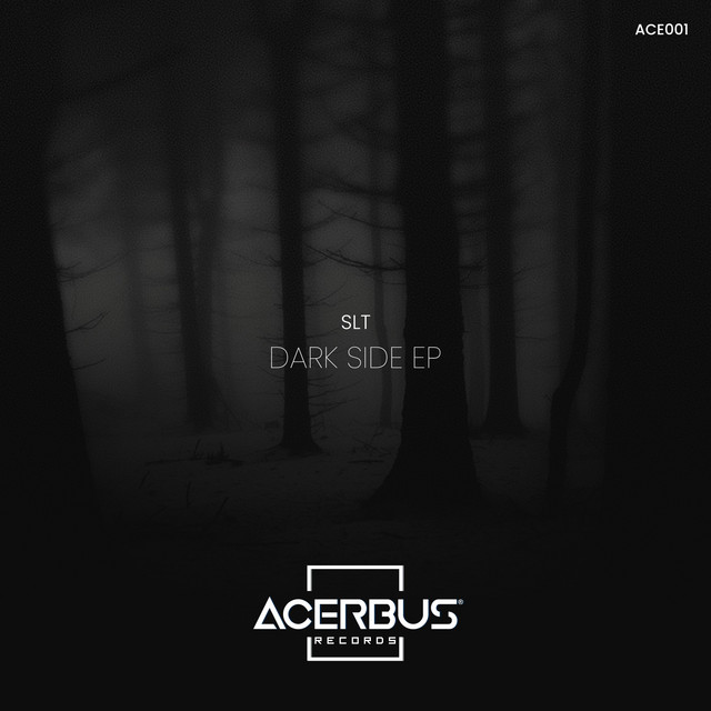 Dark Side album art