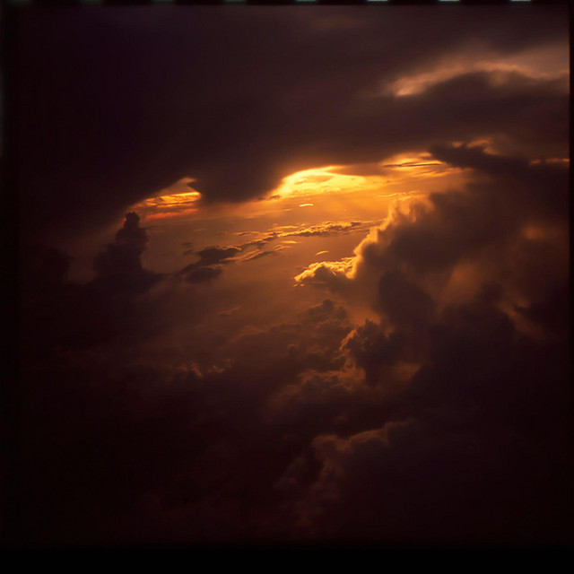 Synthetic. cover art