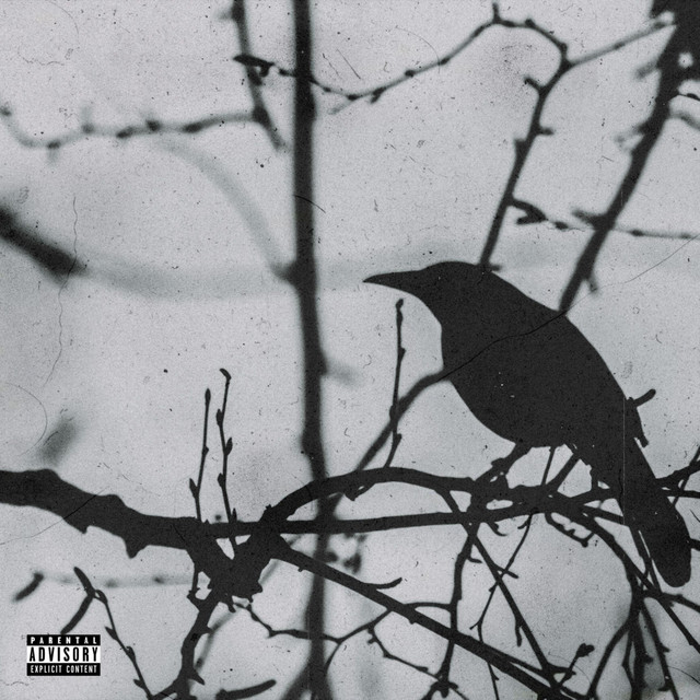 Second Chances cover art