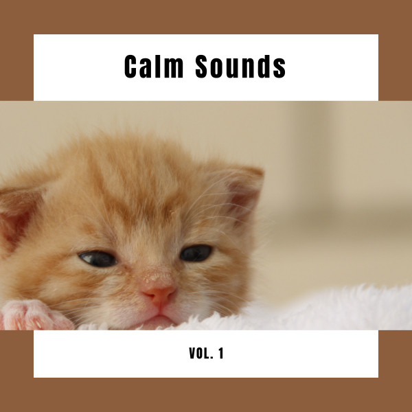 4 Cats: Calm Sounds Vol. 1 - Album by Music For Cats | Spotify