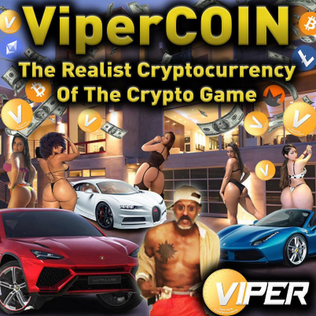 ViperCOIN cover art
