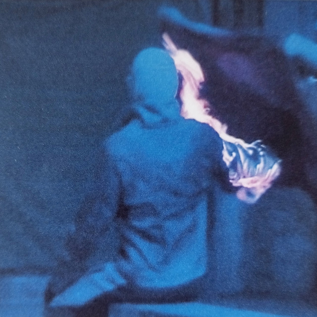 I Stumble, I Walk cover art