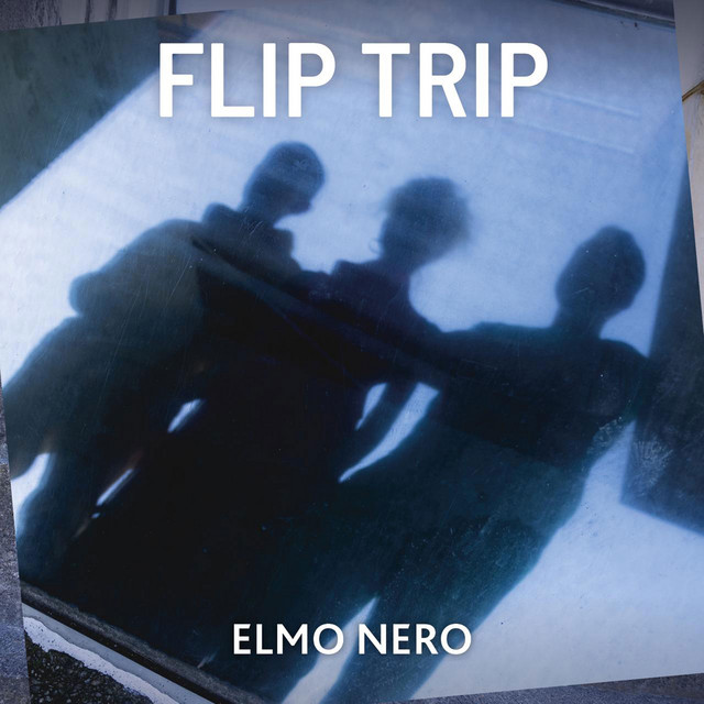 Flip Trip cover