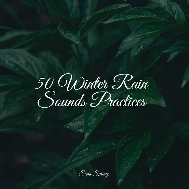 50 Loopable Rain Sounds for Sleep and Relaxation - Album by Lluvia ...