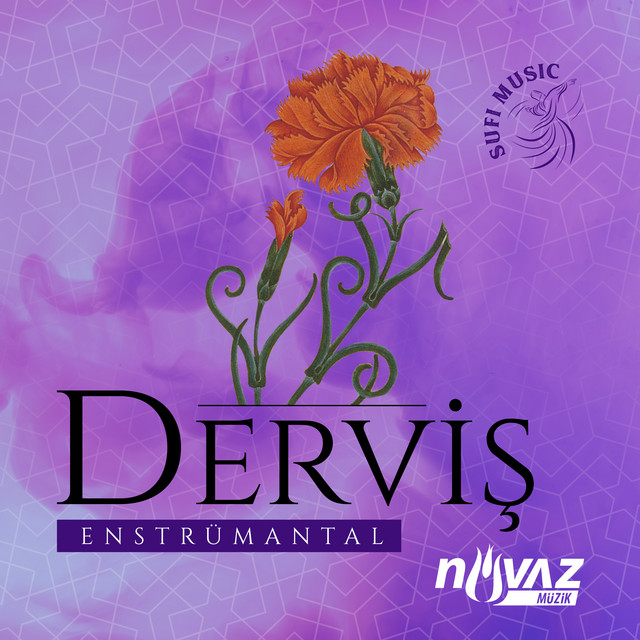 Derviş (Enstrümantal) cover art