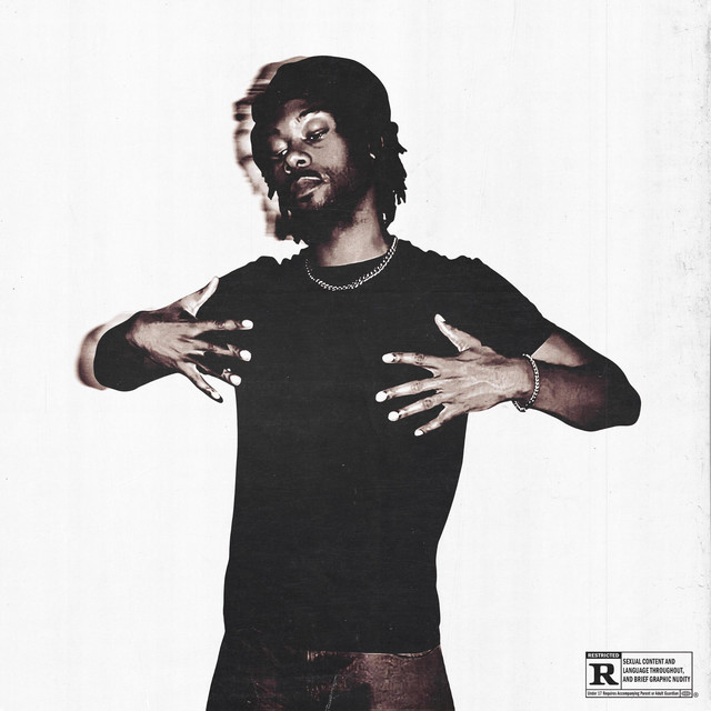 Solo Leveling cover art