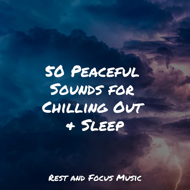 50 Peaceful Sounds for Chilling Out & Sleep - Album by Wellness | Spotify