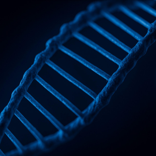 Reparo de DNA