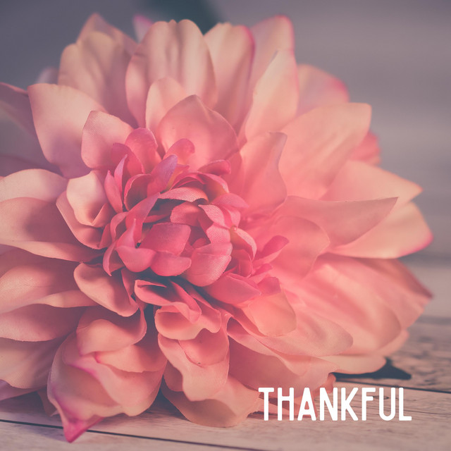 Thankful cover art