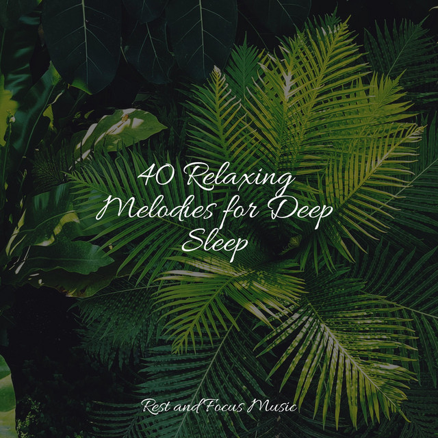 40 Relaxing Melodies for Deep Sleep - Album by Spa | Spotify