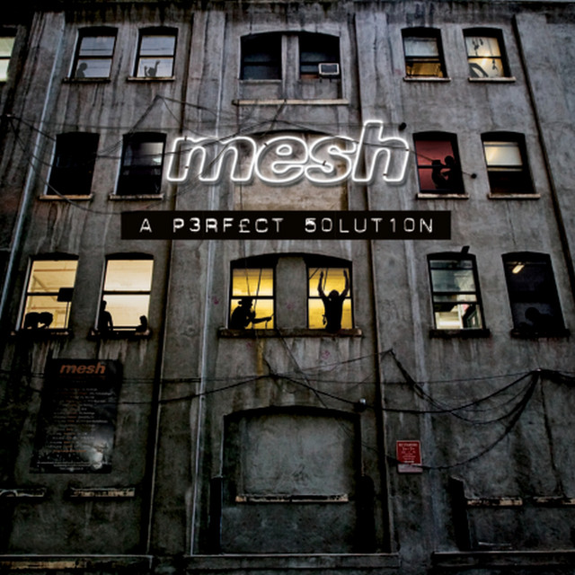 A Perfect Solution cover art