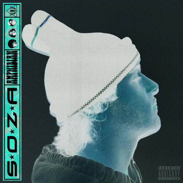 AMPHIBIAN cover art