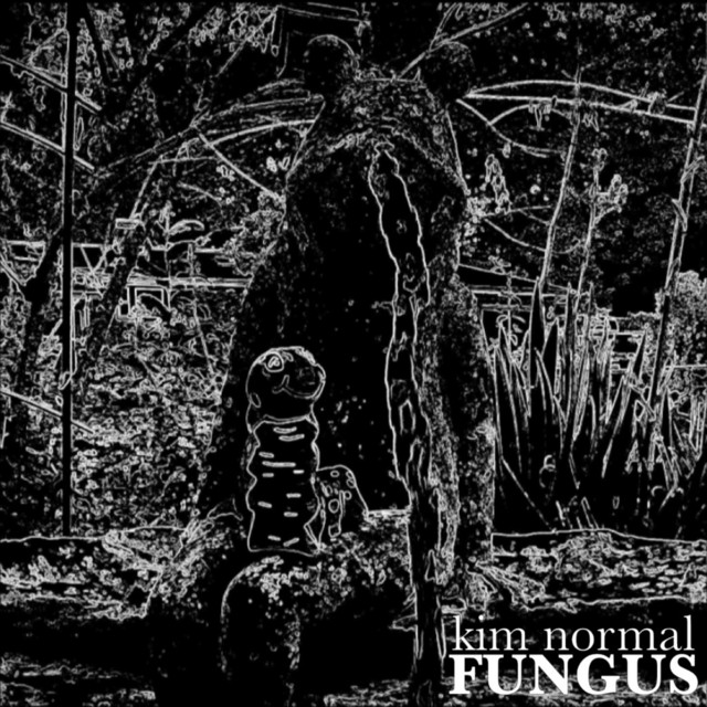 Fungus cover art