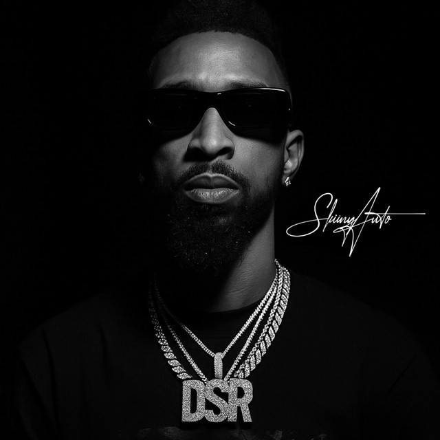 SKIINYAUTO cover art