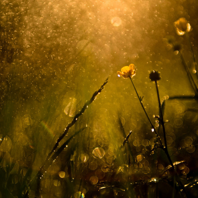 Soothing Skies: Chill Music Rain Sleep Journey - Album by Weather ...